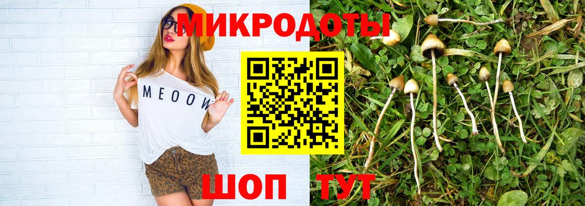 Галлюциногенные грибы Psilocybe  Вход с VPN  хочу   Выборг  Галлюциногенные грибы ЛСД 