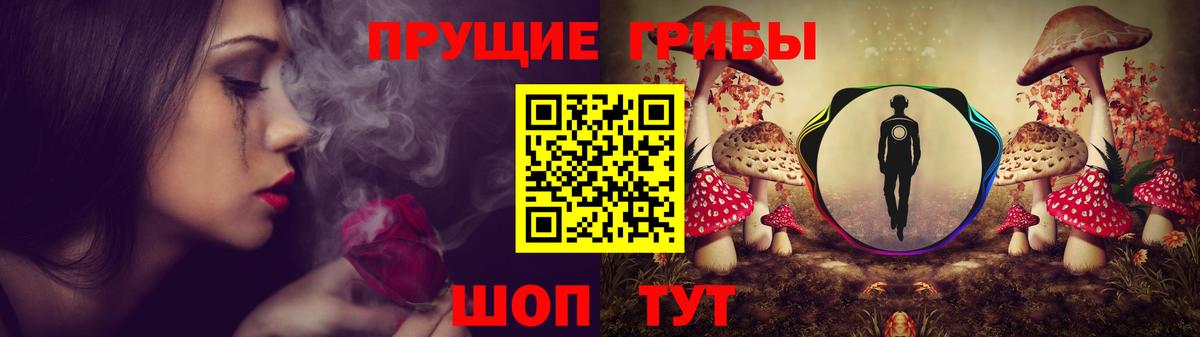 Галлюциногенные грибы Psilocybe Выборг
